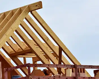 New Roofs